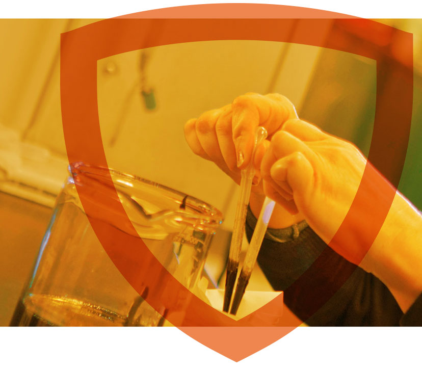 Dyna-Plex 21C Programs Header Image